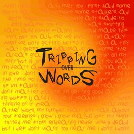 Album cover of trippingoverwords
