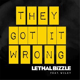 Album cover of They Got It Wrong (feat. Wiley) (feat. Wiley)