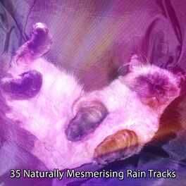 Album cover of 35 Naturally Mesmerising Rain Tracks