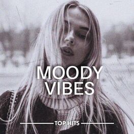 Album cover of Moody Vibes