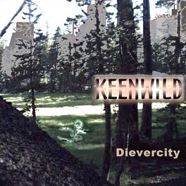 Album cover of Dievercity