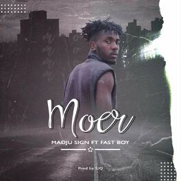 Album cover of Moer