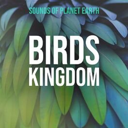 Album cover of Birds Kingdom
