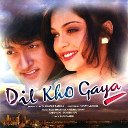 Album cover of Dil Kho Gaya