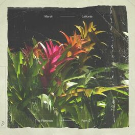 Album cover of Lailonie (The Remixes: Part 2)