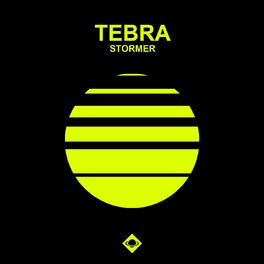 Album cover of Stormer