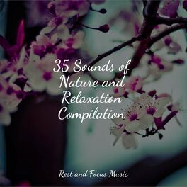 Album cover of 35 Sounds of Nature and Relaxation Compilation
