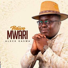 Album cover of Ndivo Mwari