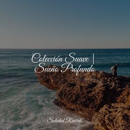 Album cover of Colección Suave | Sueño Profundo