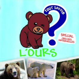 Album cover of Tout savoir sur l'ours