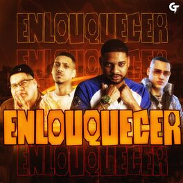 Album cover of Enlouquecer