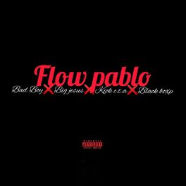 Album cover of Flow Pablo