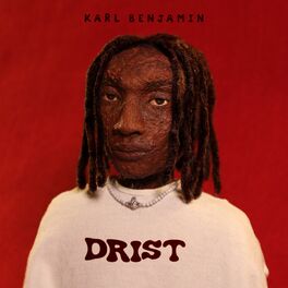 Album cover of D.R.I.S.T.