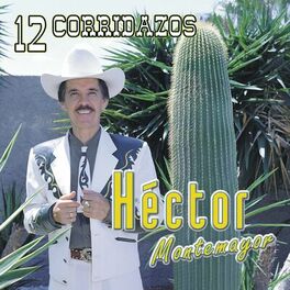 Hector Montemayor - Sigue De Pie: letras y canciones | Escúchalas en Deezer