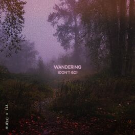 Album cover of Wandering (Don't Go)