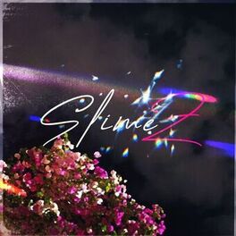 Album cover of Slimez