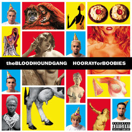 Album cover of Hooray For Boobies