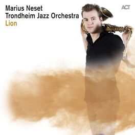 Album cover of Lion
