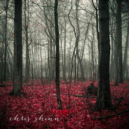 Album cover of Chris Shinn