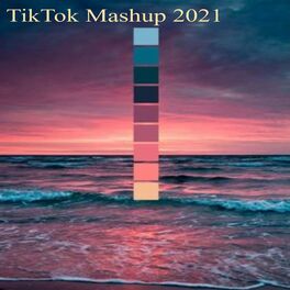 Album cover of TikTok Mashup 2021