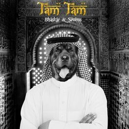 Album cover of Tam Tam (Radio Edit)