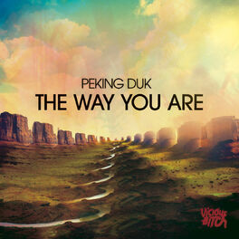 Album cover of The Way You Are