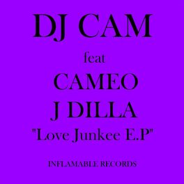 Album cover of Love Junkee