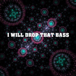 Album cover of I Will Drop That Bass