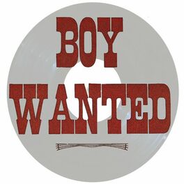 Album cover of Boy Wanted