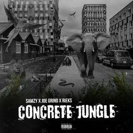 Album cover of Concrete Jungle (feat. Joe Grind & Rieks)