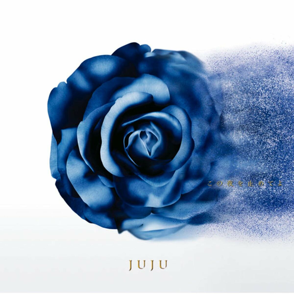 人気 the rose カバー juju