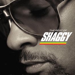 Album cover of The Best Of Shaggy