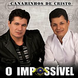 Album cover of O Impossível