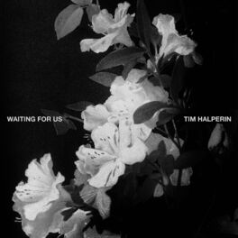 Album cover of Waiting For Us (Orchestral)