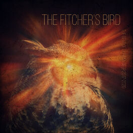 Album cover of The Fitcher's Bird (The Best of Durban Deep 2017 - 2020)
