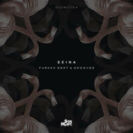 Album cover of Seina