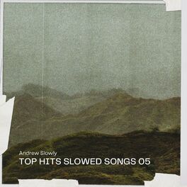 Album cover of Top Hits Slowed Songs 05
