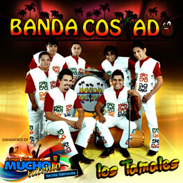 Album cover of Los Tamales