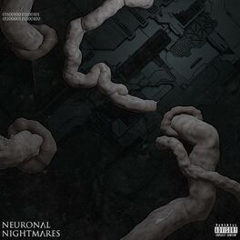 Album cover of Neuronal Nightmares