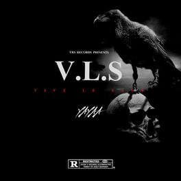 Album cover of V.L.S