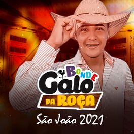 Album cover of São Joao 2021