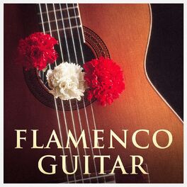 Album cover of Flamenco Guitar