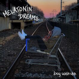 Album cover of Melatonin Dreams