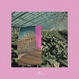 Album cover of Grapefruit Garden
