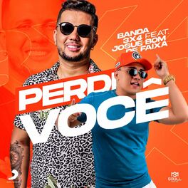 Album cover of Perdi Você