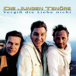 Album cover of Vergiß' die Liebe nicht