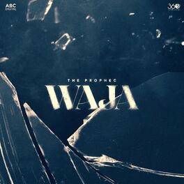 Album cover of Waja