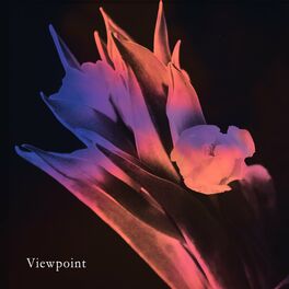 Album cover of viewpoint