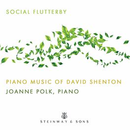Album cover of Social Flutterby