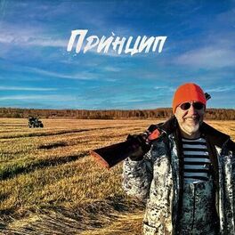 Album cover of Принцип